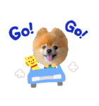 ぼくはあまたろう（個別スタンプ：4）