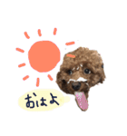 ぼく、タロウです。①（個別スタンプ：1）