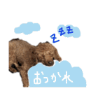 ぼく、タロウです。①（個別スタンプ：2）