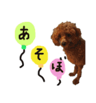 ぼく、タロウです。①（個別スタンプ：3）