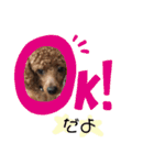 ぼく、タロウです。①（個別スタンプ：4）