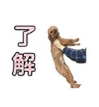 ぼく、タロウです。①（個別スタンプ：5）