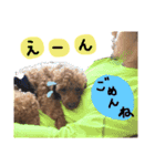 ぼく、タロウです。①（個別スタンプ：21）