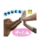 ぼく、タロウです。①（個別スタンプ：25）