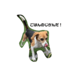人面犬アール（個別スタンプ：6）