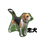 人面犬アール（個別スタンプ：9）