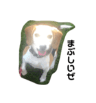 人面犬アール（個別スタンプ：11）