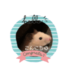おマメのスタンプ（個別スタンプ：1）