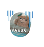 おマメのスタンプ（個別スタンプ：5）