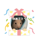 おマメのスタンプ（個別スタンプ：7）