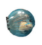 おマメのスタンプ（個別スタンプ：11）