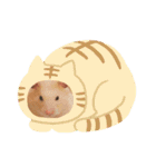 おマメのスタンプ（個別スタンプ：12）