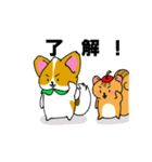 ももわんとりすっぷる（個別スタンプ：6）