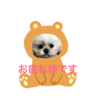 モコマロ（個別スタンプ：2）