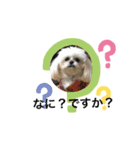モコマロ（個別スタンプ：3）