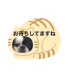 モコマロ（個別スタンプ：6）