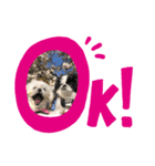 モコマロ（個別スタンプ：8）