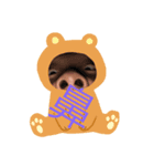 かつくんですよ（個別スタンプ：3）