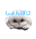 COCO's♡stamp（個別スタンプ：3）