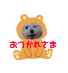 COCO's♡stamp（個別スタンプ：5）
