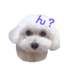 COCO's♡stamp（個別スタンプ：9）