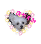 COCO's♡stamp（個別スタンプ：10）