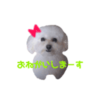 COCO's♡stamp（個別スタンプ：16）