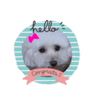 COCO's♡stamp（個別スタンプ：25）