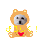 COCO's♡stamp（個別スタンプ：28）