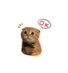 おサニはん（個別スタンプ：1）
