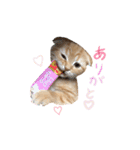 おサニはん（個別スタンプ：3）