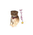 おサニはん（個別スタンプ：7）