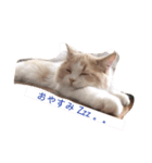 ねこのプリン（個別スタンプ：2）