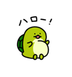 百歳人生亀（個別スタンプ：1）
