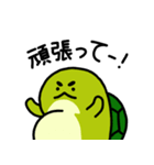 百歳人生亀（個別スタンプ：13）