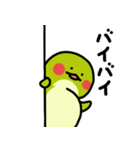 百歳人生亀（個別スタンプ：24）