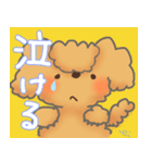 メーちゃん（個別スタンプ：19）