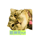 米パルプ年（個別スタンプ：1）