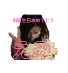 えみのSTAMP（個別スタンプ：9）