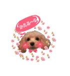 マルプー のむぎちゃん（個別スタンプ：18）