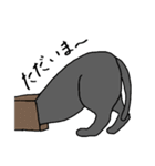 ねこちゃんの自由なスタンプ（個別スタンプ：4）