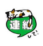 ねこちゃんの自由なスタンプ（個別スタンプ：12）