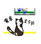 ねこちゃんの自由なスタンプ（個別スタンプ：13）