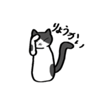 ねこちゃんの自由なスタンプ（個別スタンプ：27）