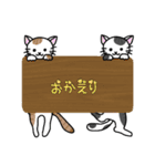 ねこちゃんの自由なスタンプ（個別スタンプ：36）