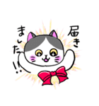 ハンドメイド雑貨を買いたい猫（個別スタンプ：12）