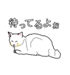 ネコへんじ 04 と 05 のセット.（個別スタンプ：18）