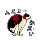 ネコへんじ 04 と 05 のセット.（個別スタンプ：20）