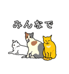 ネコへんじ 04 と 05 のセット.（個別スタンプ：27）