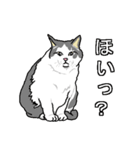 ネコへんじ 04 と 05 のセット.（個別スタンプ：30）